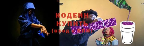 гашик Тавда